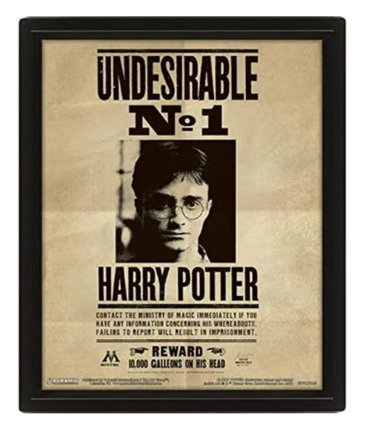 Harry Potter Potter Sirius 3D-Lentikular-Poster 28,7 x 23,5cm